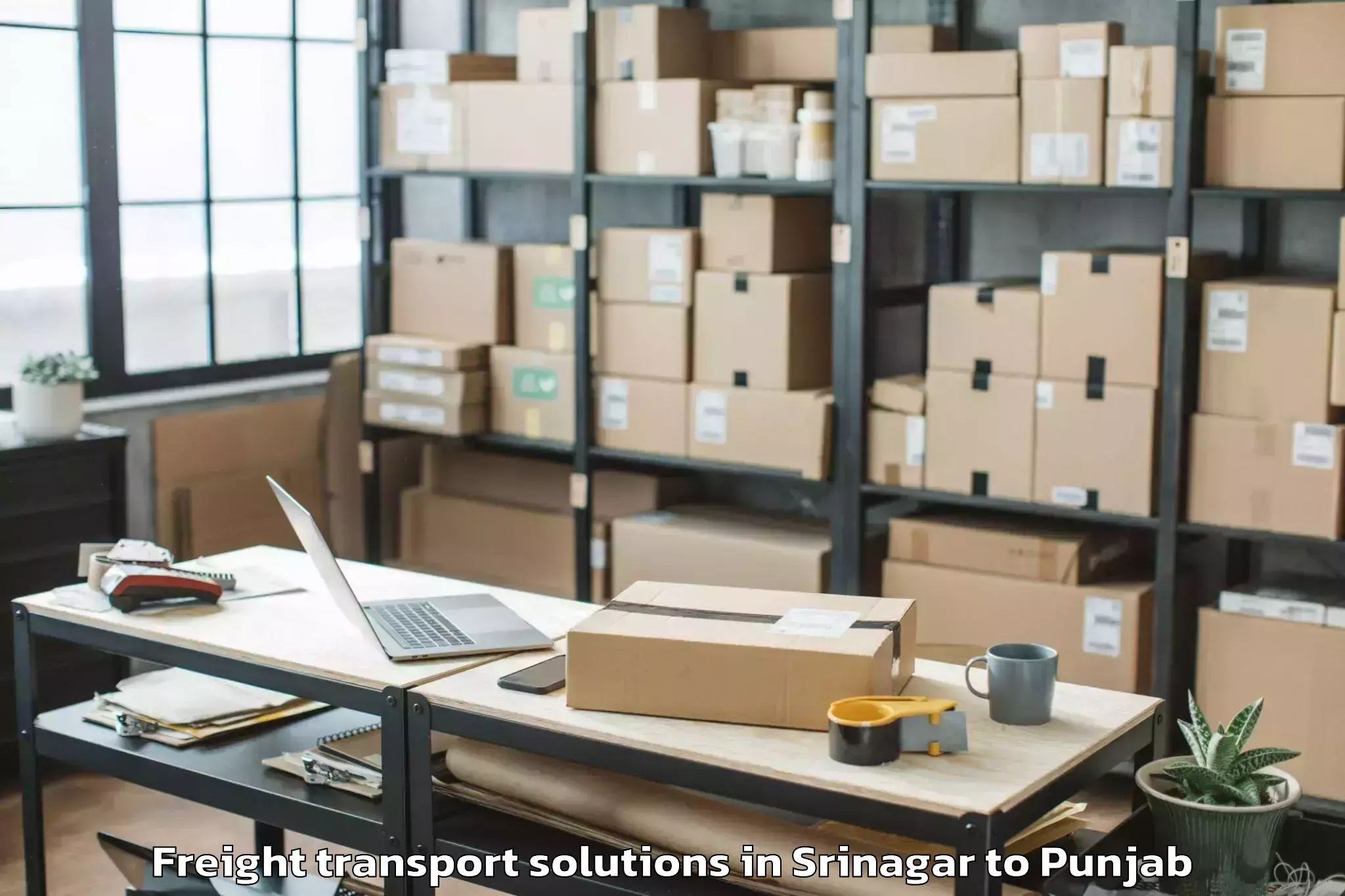 Affordable Srinagar to Zira Freight Transport Solutions